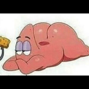 Meet your Posher, Abigail